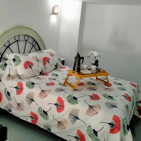 דירות Precioso Loft En קוניל דה לה פרונטרה מראה חיצוני תמונה