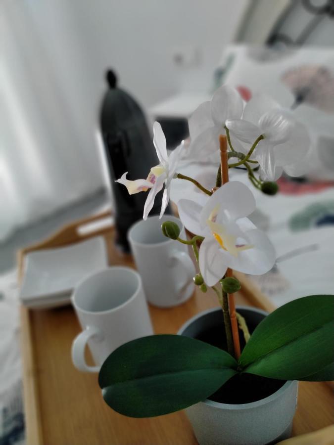 דירות Precioso Loft En קוניל דה לה פרונטרה מראה חיצוני תמונה